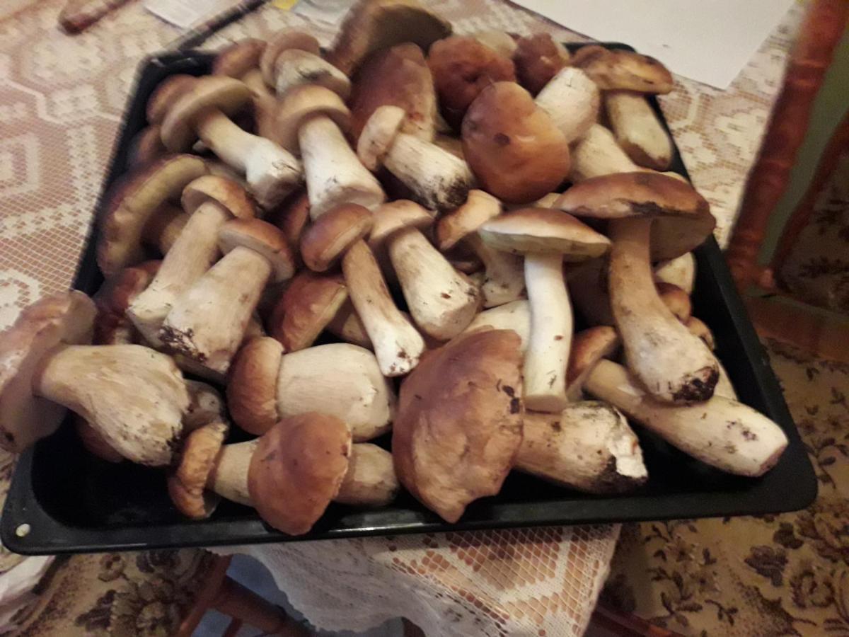 Domek U Janiny Czaplinek Esterno foto